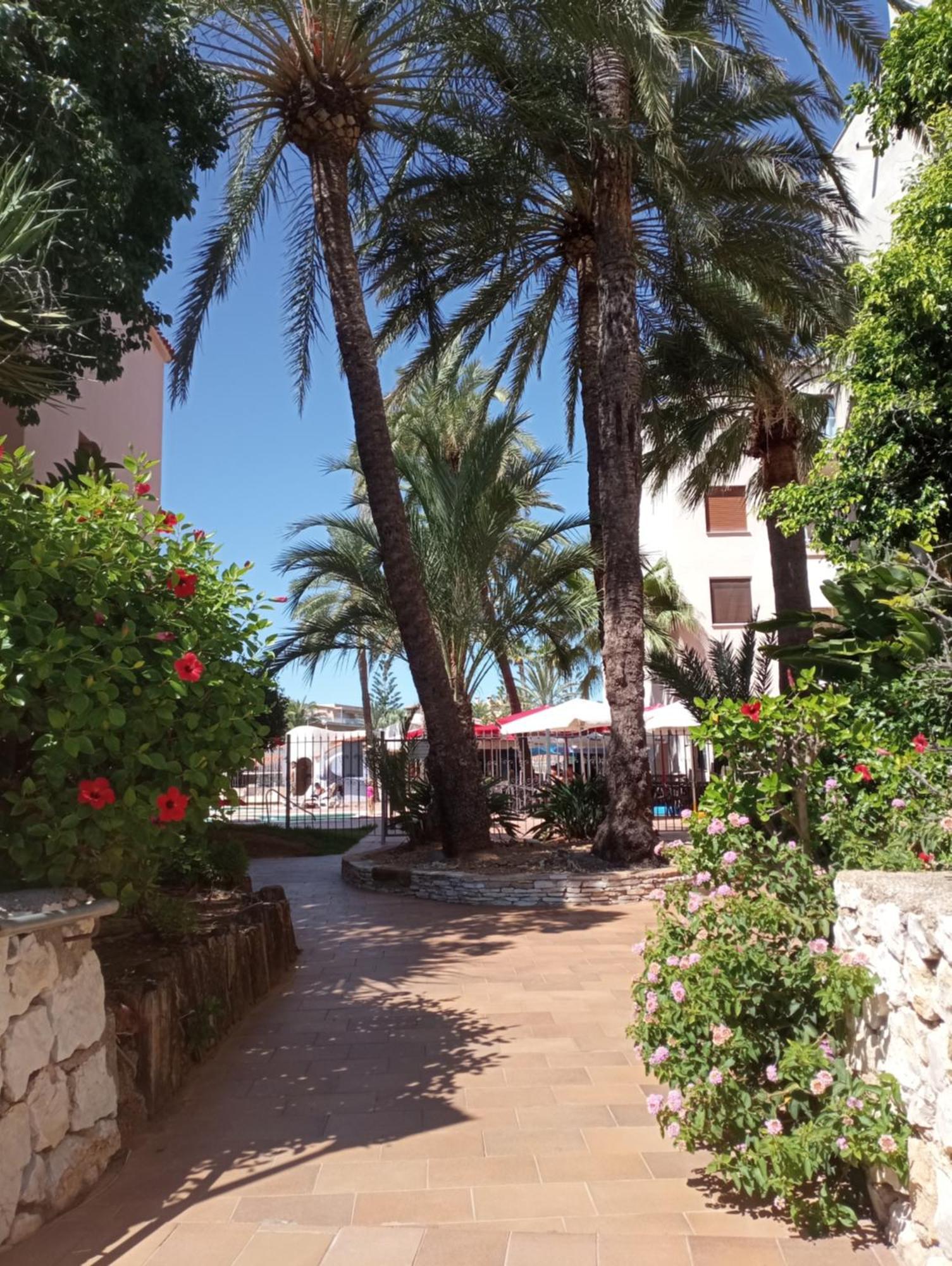 Apartamento Parchis Con Piscina Denia Eksteriør bilde
